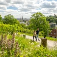 Ein Paar spaziert durch grüne Weinberge mit Blick auf Bielefelds Stadt und zwei Kirchtürme.