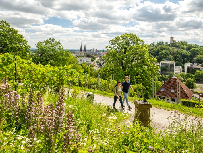Ein Paar spaziert durch grüne Weinberge mit Blick auf Bielefelds Stadt und zwei Kirchtürme.