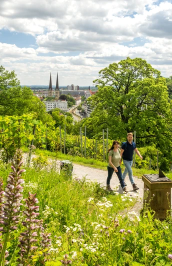 Bielefeld-Johannisberg-Teutoburger-Wald-Tourismus-D-Ketz-054.jpg Ein Paar spaziert durch grüne Weinberge mit Blick auf Bielefelds Stadt und zwei Kirchtürme.