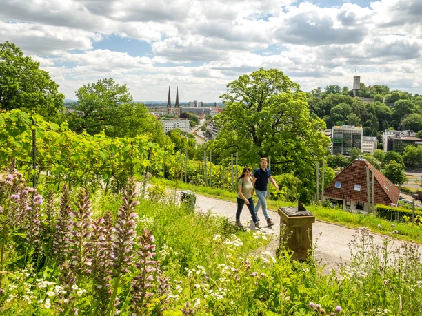 Bielefeld-Johannisberg-Teutoburger-Wald-Tourismus-D-Ketz-054.jpg Ein Paar spaziert durch grüne Weinberge mit Blick auf Bielefelds Stadt und zwei Kirchtürme.