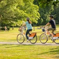 Zwei Menschen fahren mit Fahrrädern durch einen grünen Park, umgeben von Bäumen und entspannten Besuchern.