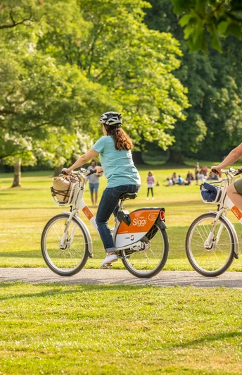 Bielefeld-Nordpark-Teutoburger-Wald-Tourismus-D-Ketz-107.jpg Zwei Menschen fahren mit Fahrrädern durch einen grünen Park, umgeben von Bäumen und entspannten Besuchern.