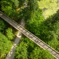 Bielefeld-Oberes Luttertal-Teutoburger-Wald-Tourismus-D-Ketz-093.jpg <p>Luftaufnahme eines hölzernen Spazierwegs, der durch dichte grüne Vegetation im Wald führt.</p>