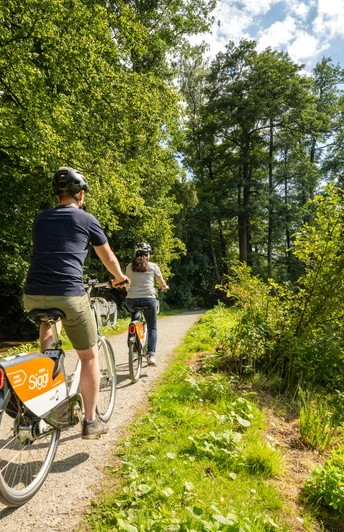 Zwei Radfahrer auf einem sonnigen Waldweg am Seeufer, umgeben von üppigem Grün und klarem Himmel.
