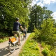 Bielefeld-Oberes Luttertal-Teutoburger-Wald-Tourismus-D-Ketz-083.jpg Zwei Radfahrer auf einem sonnigen Waldweg am Seeufer, umgeben von üppigem Grün und klarem Himmel.