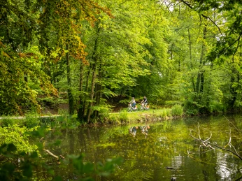 Bielefeld-Oberes Luttertal-Teutoburger-Wald-Tourismus-D-Ketz-086.jpg Zwei Radfahrer fahren auf einem grünen, von Bäumen gesäumten Pfad entlang eines ruhigen Sees.