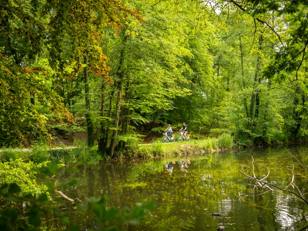 Bielefeld-Oberes Luttertal-Teutoburger-Wald-Tourismus-D-Ketz-086.jpg Zwei Radfahrer fahren auf einem grünen, von Bäumen gesäumten Pfad entlang eines ruhigen Sees.