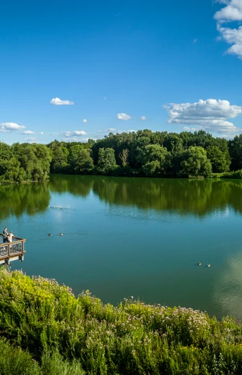 Eine hölzerne Aussichtsplattform überblickt einen ruhigen See mit Enten, umgeben von grünen Bäumen.