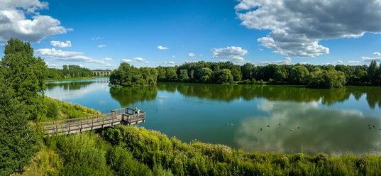 Bielefeld-Obersee-Teutoburger-Wald-Tourismus-D-Ketz-070.jpg Eine hölzerne Aussichtsplattform überblickt einen ruhigen See mit Enten, umgeben von grünen Bäumen.