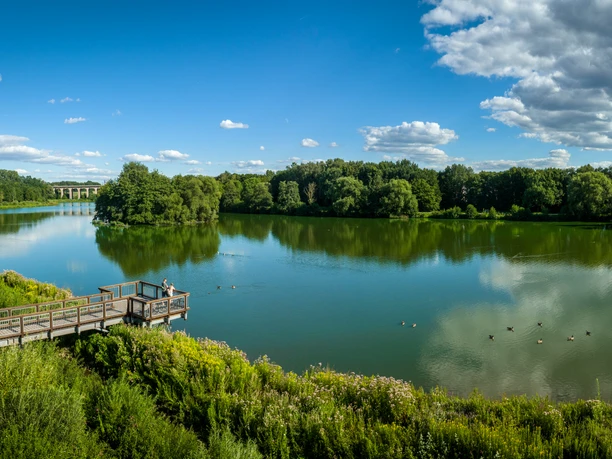 Bielefeld-Obersee-Teutoburger-Wald-Tourismus-D-Ketz-070.jpg Eine hölzerne Aussichtsplattform überblickt einen ruhigen See mit Enten, umgeben von grünen Bäumen.