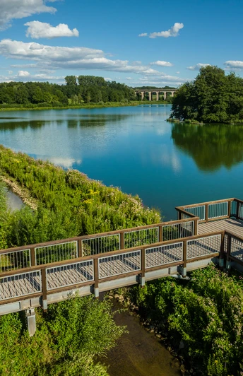 Ein hölzerner Steg führt über üppiges Grün zu einem Aussichtspunkt über einem ruhigen See.