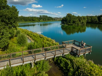 Bielefeld-Obersee-Teutoburger-Wald-Tourismus-D-Ketz-065.jpg Ein hölzerner Steg führt über üppiges Grün zu einem Aussichtspunkt über einem ruhigen See.