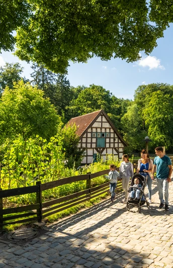 Bielefeld-Tierpark Olderdissen-Teutoburger-Wald-Tourismus-D-Ketz-024.jpg Historisches Fachwerkhaus im Grünen, umgeben von Spaziergängern auf einem sonnigen Kopfsteinpflasterweg.