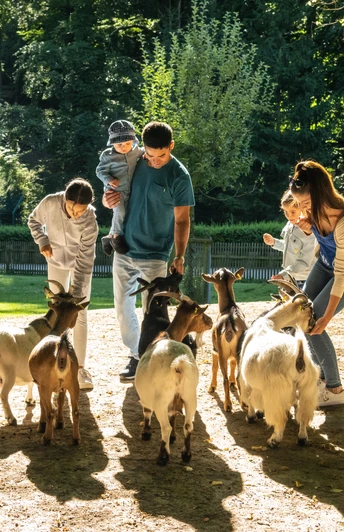 Bielefeld-Tierpark Olderdissen-Teutoburger-Wald-Tourismus-D-Ketz-005.jpg Menschen füttern Ziegen in einem sonnigen, grünen Park. Erwachsene und Kinder interagieren miteinander.