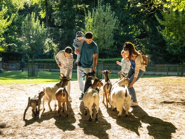 Bielefeld-Tierpark Olderdissen-Teutoburger-Wald-Tourismus-D-Ketz-005.jpg Menschen füttern Ziegen in einem sonnigen, grünen Park. Erwachsene und Kinder interagieren miteinander.
