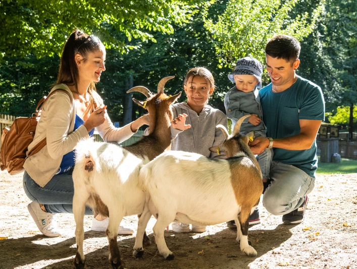 Familie füttert Ziegen im sonnigen Park, alle lächeln, umgeben von Bäumen und hellem Tageslicht.