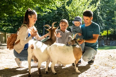 Bielefeld-Tierpark Olderdissen-Teutoburger-Wald-Tourismus-D-Ketz-006.jpg Familie füttert Ziegen im sonnigen Park, alle lächeln, umgeben von Bäumen und hellem Tageslicht.