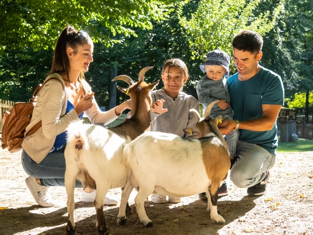 Bielefeld-Tierpark Olderdissen-Teutoburger-Wald-Tourismus-D-Ketz-006.jpg Familie füttert Ziegen im sonnigen Park, alle lächeln, umgeben von Bäumen und hellem Tageslicht.