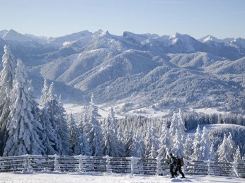 Ausblick vom Hörnle Skigebiet Hörnle Bad Kohlgrub Naturpark Ammergauer Alpen