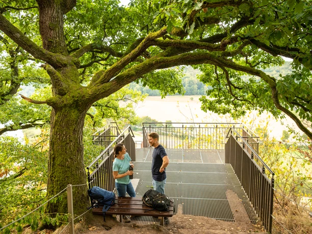 Beverungen-Weser Skywalk-Teutoburger-Wald-Tourismus-D-Ketz-025.jpg