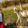 Beverungen-Dalhausen-Jakobsberg-Teutoburger-Wald-Tourismus-D-Ketz-099.jpg <p>Frau spaziert neben ziegenförmigem Tier auf einer Mauer in einer grünen Wiesenlandschaft.</p><p>Vrouw loopt naast een geitvormig dier op een muur in een groen weidelandschap.</p> <p<p>Woman walking next to a goat-shaped animal on a wall in a green meadow landscape.</p> <p