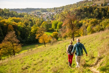 Beverungen-Dalhausen-Jakobsberg-Teutoburger-Wald-Tourismus-D-Ketz-082.jpg