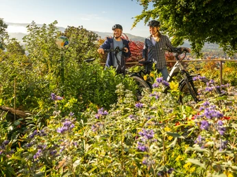 Zwei Radfahrer genießen die Aussicht inmitten blühender Natur an einem sonnigen Tag.
