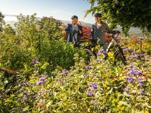 Zwei Radfahrer genießen die Aussicht inmitten blühender Natur an einem sonnigen Tag.