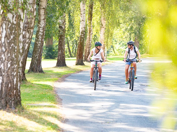 Unterwegs auf dem Diemelradweg