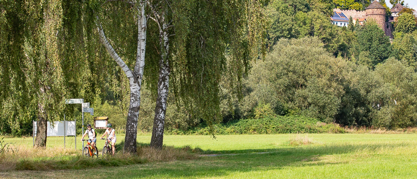 Diemelradweg in Trendelburg