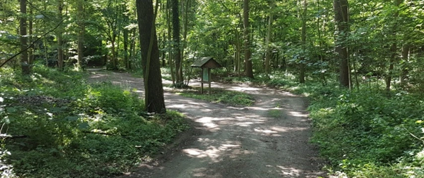 Parkplatz am Forstamt