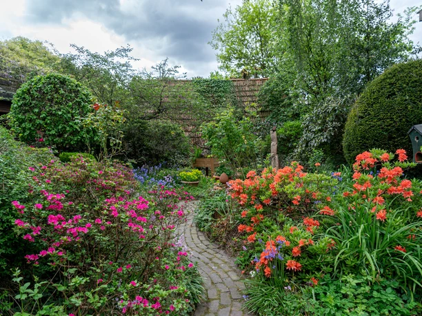 Garten_Privatgarten_Kneipp_Gertje-26.jpg Ein bunt blühender Gartenpfad führt durch dichte Pflanzen und farbenfrohe Blumen zu einem ruhig gelegenen Holzhaus.