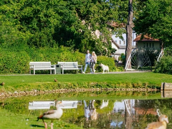 Der Ententeich im Gräflichen Park wo ein Paar im Hintergrung mit ihrem Hund entlang gehen.