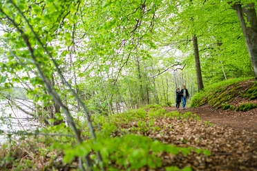 Paar im Hellbachtal am Krebssee Ein Mann und eine Frau gehen auf einem Waldweg am Krebssee im Hellbachtal spazieren. Die Blätter an den Bäumen sind leuchtend grün.