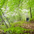 Paar im Hellbachtal am Krebssee Ein Mann und eine Frau gehen auf einem Waldweg am Krebssee im Hellbachtal spazieren. Die Blätter an den Bäumen sind leuchtend grün.