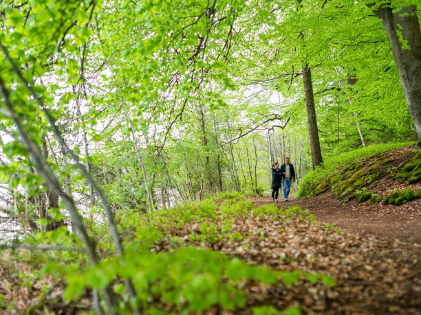 Paar im Hellbachtal am Krebssee Ein Mann und eine Frau gehen auf einem Waldweg am Krebssee im Hellbachtal spazieren. Die Blätter an den Bäumen sind leuchtend grün.