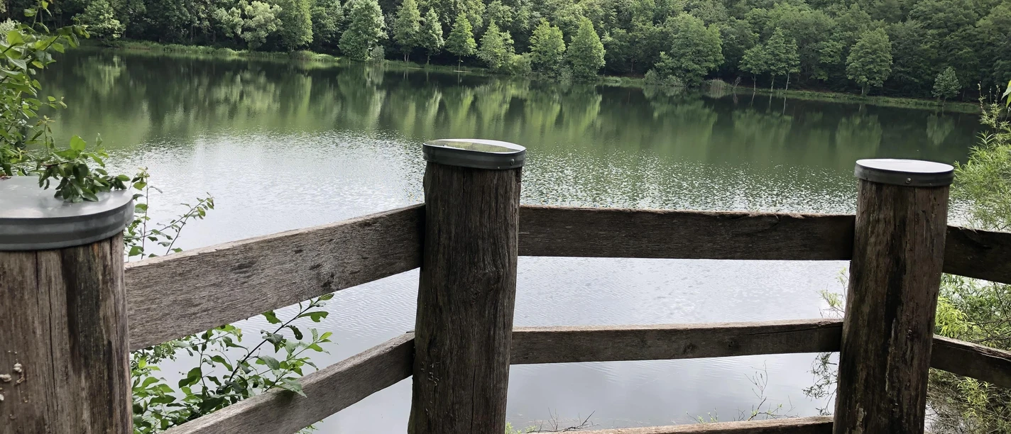 Das Holzmaar bei Gillenfeld