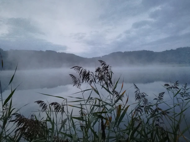 Meerfelder Maar im Nebel