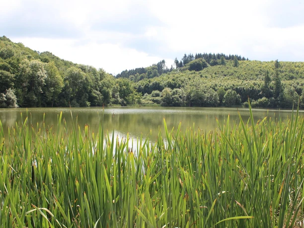 Ein Maar.... oder doch Kratersee?