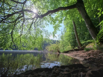 Plötschersee_Salemer Moor_See.jpg