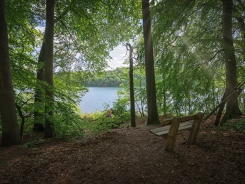 Rast im Salemer Moor