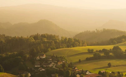 Uitzicht vanaf de Wachberg Een klein dorpje genesteld in glooiende groene heuvels en bossen, verlicht door warm, gouden zonlicht in een rustige, vredige sfeer.