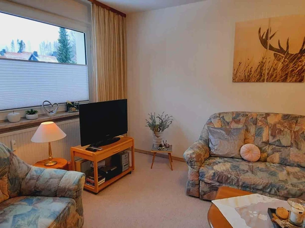 Ferienwohnungen am Birkenweg in Braunlage - Wohnzimmer mit Sofa