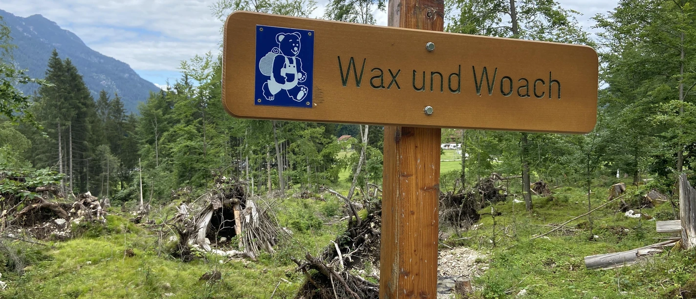 Der sagenhafte Bergwald