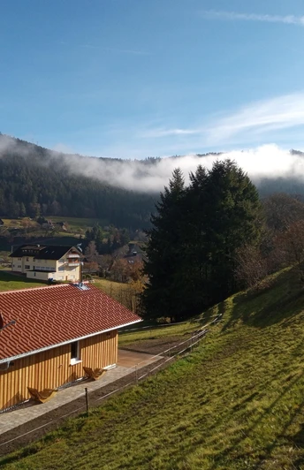 IMG_20211119_115909_761