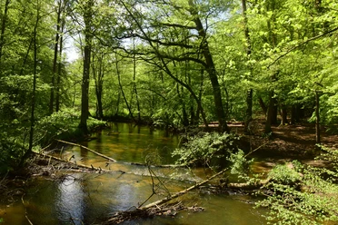 DSC_9024.JPG