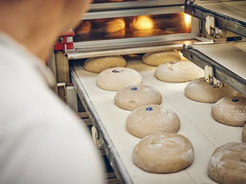 Backstube Krätz Frische Brotteige in der Bäckerei Krätz auf einem Blech im Ofen.