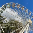 Domweih Verden Weißes Riesenrad in Verden vor blauem Himmel und Bäumen, fängt den fröhlichen Festcharakter ein.