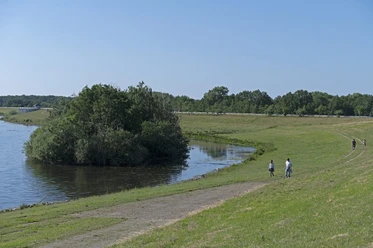 Wandelen bij de Alfsee
