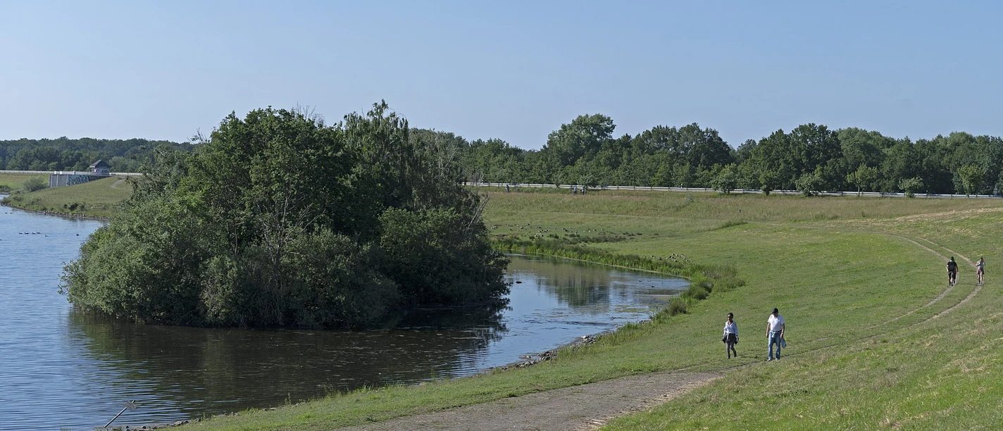Wandelen bij de Alfsee